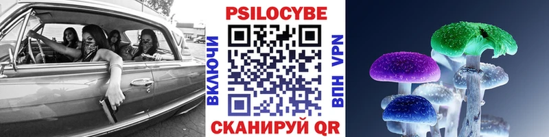 Псилоцибиновые грибы мицелий  купить наркотики сайты  Чегем 