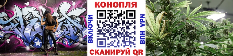 Бошки марихуана гибрид  Чегем 